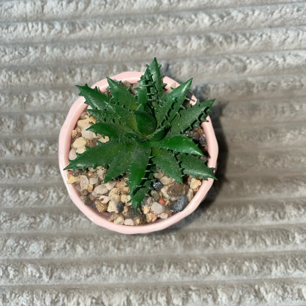 🌿 Chic Mini Faux Succulent in Blush Pink Pot 🌸